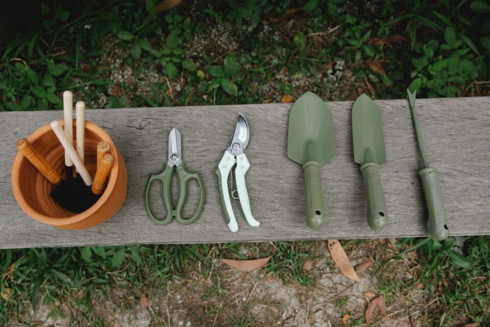 Evolution of Materials in Gardening Tools From Wood to Bioplastic