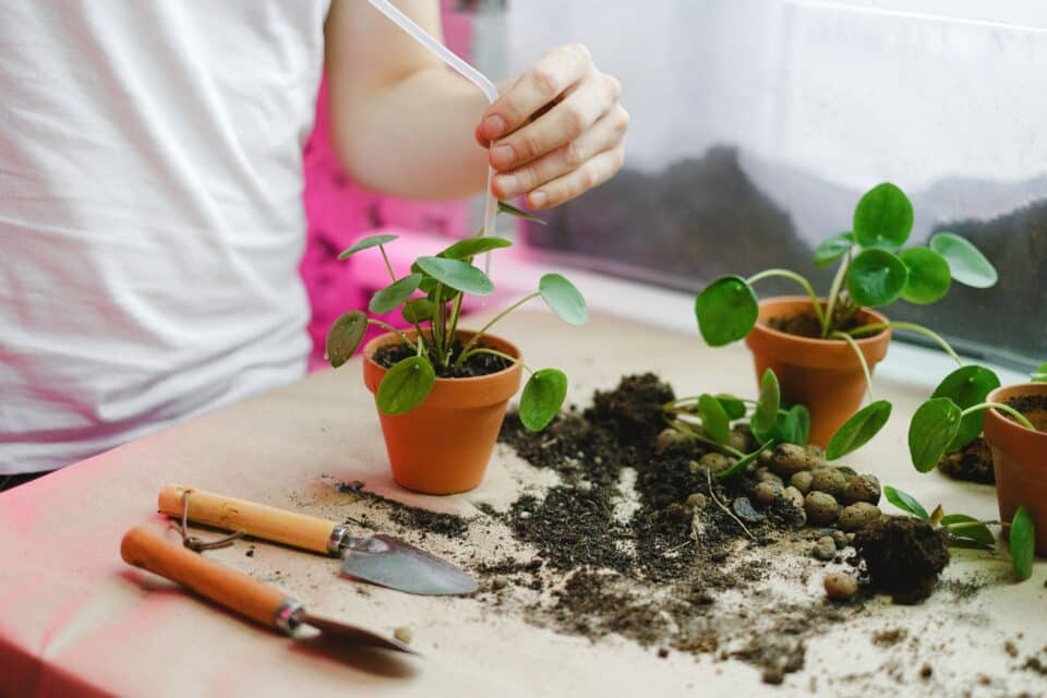 Lightweight Gardening Tools The Future of Efficient Gardening